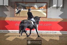 ref. photo 3500355
