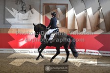 ref. photo 3500365