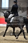 ref. photo 3500390