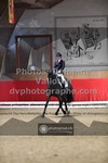 ref. photo 3500395