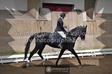 ref. photo 3500444