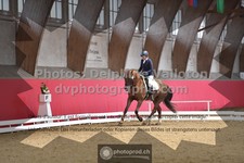 ref. photo 3500462