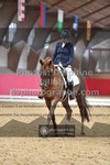 ref. photo 3500465
