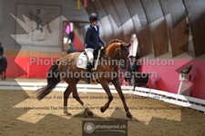 ref. photo 3500476