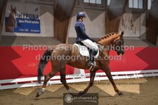 ref. photo 3500487