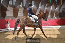 ref. photo 3500489