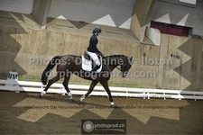 ref. photo 3500507