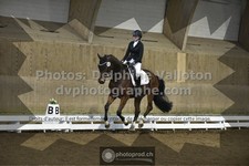 ref. photo 3500511