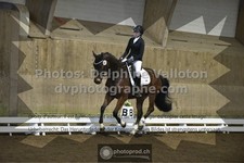 ref. photo 3500512