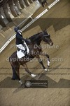 ref. photo 3500518