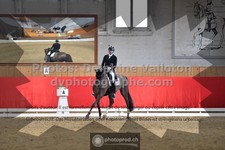 ref. photo 3500525