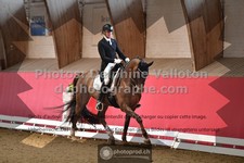 ref. photo 3500530