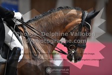 ref. photo 3500531