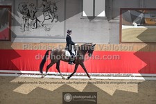 ref. photo 3500532