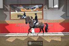 ref. photo 3500551