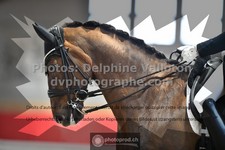 ref. photo 3500594