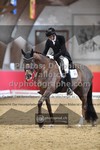 ref. photo 3500615