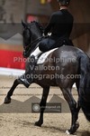 ref. photo 3500621