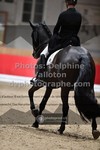 ref. photo 3500622