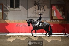 ref. photo 3500635