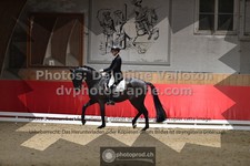 ref. photo 3500640