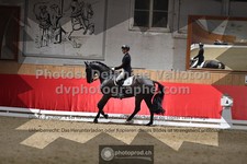 ref. photo 3500648