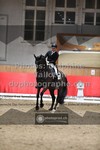 ref. photo 3500661