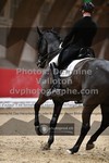 ref. photo 3500662