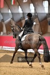 ref. photo 3500690