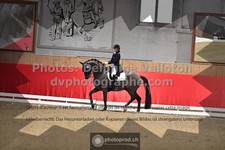 ref. photo 3500703