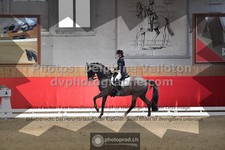 ref. photo 3500706