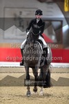 ref. photo 3500712