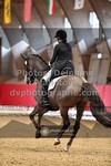 ref. photo 3500713