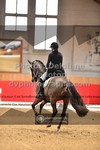 ref. photo 3500714