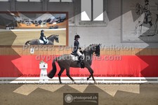 ref. photo 3500715