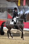 ref. photo 3500719