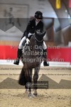 ref. photo 3500733