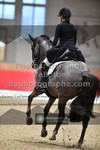 ref. photo 3500778