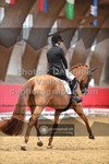 ref. photo 3500804