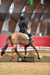 ref. photo 3500807