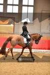 ref. photo 3500820