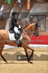 ref. photo 3500837