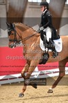 ref. photo 3500839