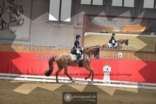 ref. photo 3500840