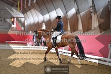 ref. photo 3500889