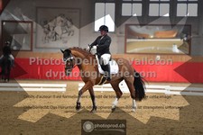 ref. photo 3500895