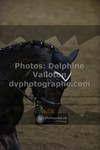 ref. photo 3500963