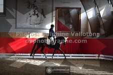 ref. photo 3500991