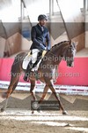 ref. photo 3500994