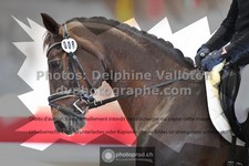 ref. photo 3501001